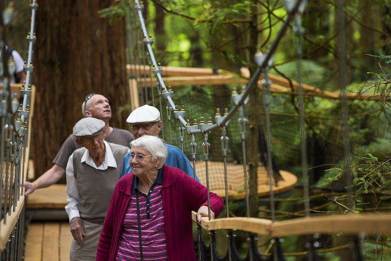 Yonder for High Ropes and Adventure Parks