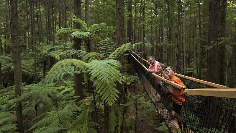 Treewalks and walking at heights, powered by Yonder's AI